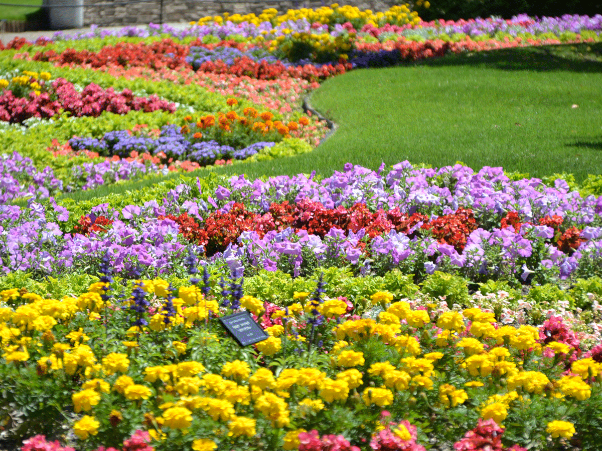 🌸 안조 산업 문화 공원(덴파크)
